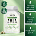 „Amla Superfruit“ kapsulės | Aktyvina mitochondrijas, taip palaikydamos nervų funkciją, malšindamos sąnarių skausmą ir kovodamos su uždegimu jo atsiradimo vietoje.